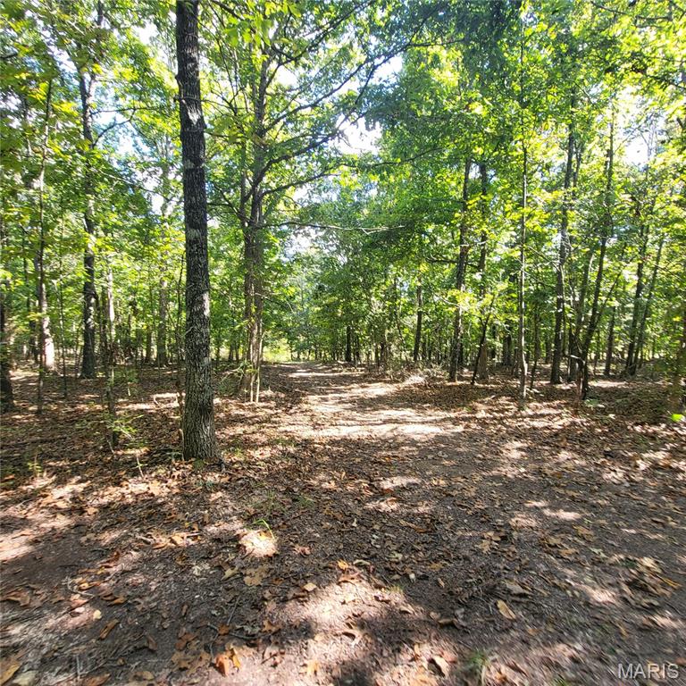 1710 Ripley 142w-7 Gatewood, MO 63942 - Photo 21 of 30