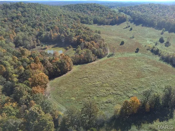 $849,600 | 1710 Ripley 142w-7, Gatewood, MO 63942