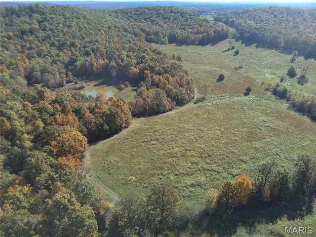 $849,600 | 1710 Ripley 142w-7, Gatewood, MO 63942