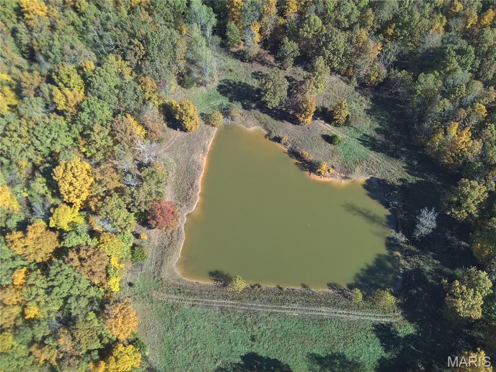 1710 Ripley 142w-7 Gatewood, MO 63942 - Photo 26 of 30