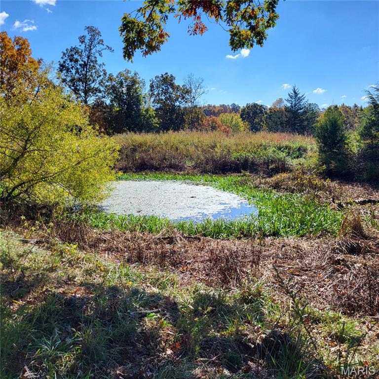 1710 Ripley 142w-7 Gatewood, MO 63942 - Photo 28 of 30