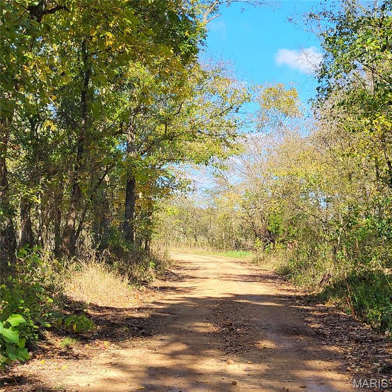 1710 Ripley 142w-7 Gatewood, MO 63942 - Photo 29 of 30