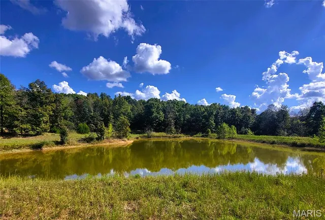 $849,600 | 1710 Ripley 142w-7, Gatewood, MO 63942