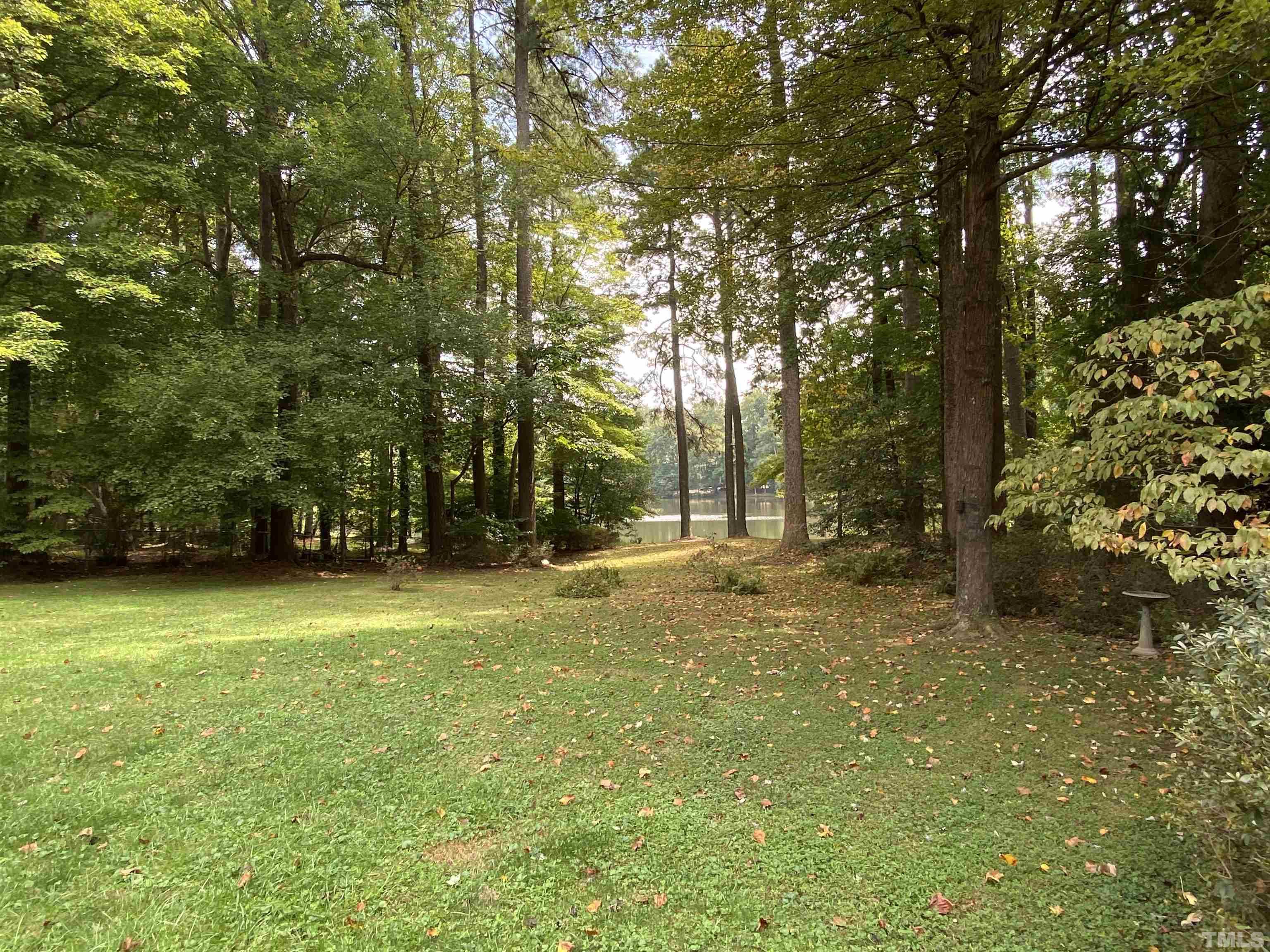 9005 Oneal Road Raleigh, NC 27613 - Photo 6 of 24 a view of a yard with a trees