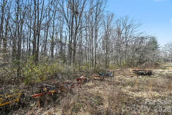a view of a forest with trees