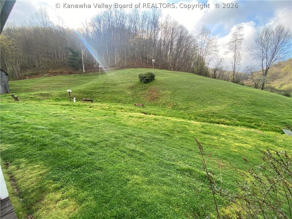384 Nebo School Road Nebo, WV 25141 - Photo 8 of 16 Gallery Image 8