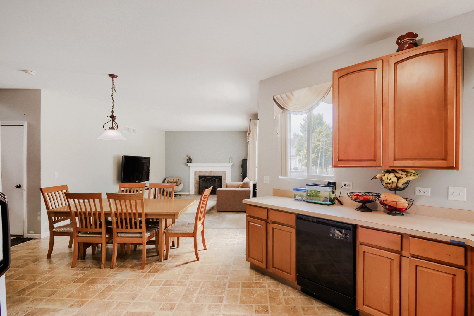 1607 Mountain Ridge Pass Plainfield, IL 60586 - Photo 8 of 28