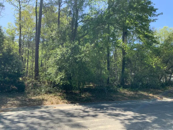 $47,900 | 0 Ash Hill Drive, Eutawville, SC 29048