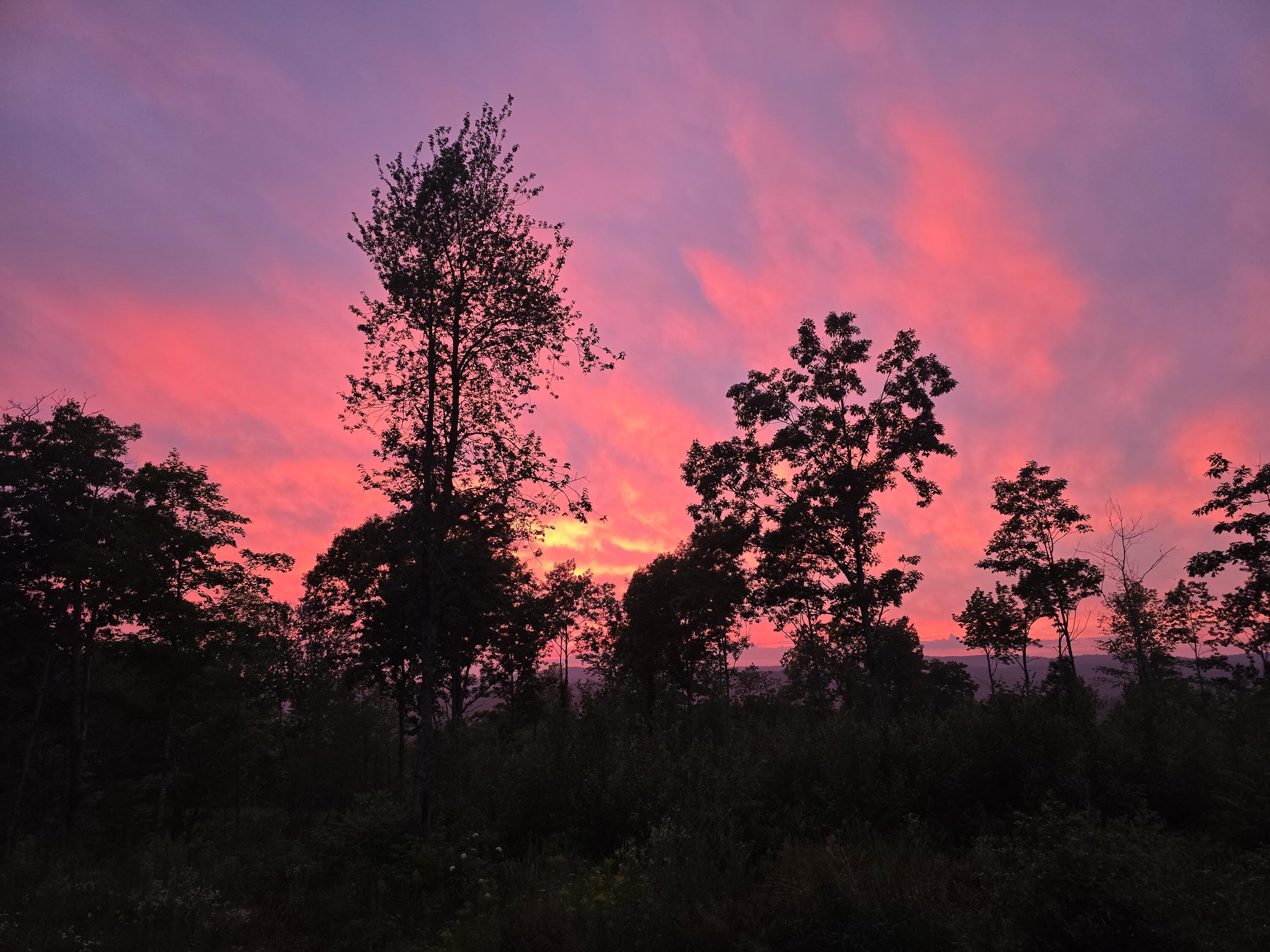 57 Crie Hill Road Liberty, ME 04949 - Photo 26 of 26 25