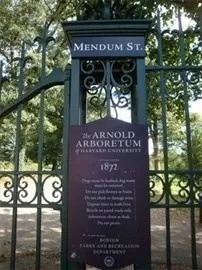 $2,300 | 3 Guernsey Street, Unit 3, Boston, MA 02131