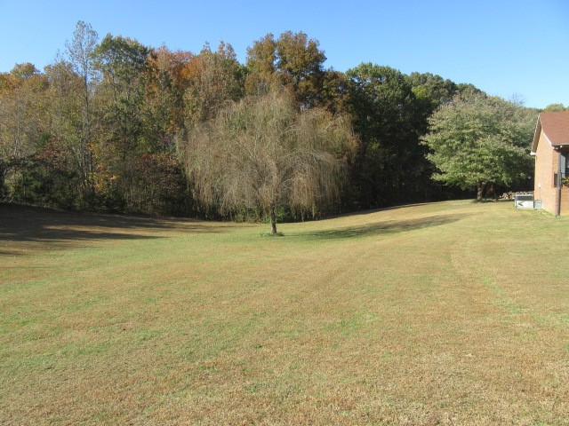 2682 Woods Road Springfield, TN 37172 - Photo 27 of 29 a view of empty field with trees