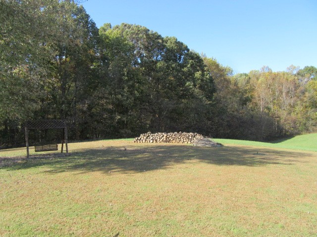 2682 Woods Road Springfield, TN 37172 - Photo 28 of 29 a view of a swimming pool with a yard