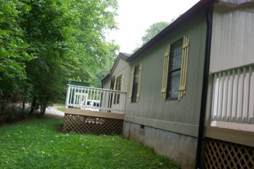 Primary Photo