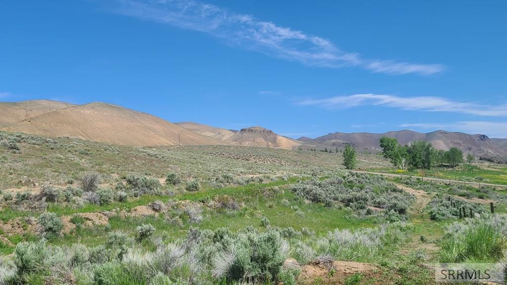 6 Homestead Trail Challis, ID 83226 - Photo 22 of 36