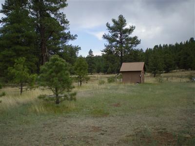 0 Antelope Road Flagstaff, AZ 86005 - Photo 8 of 13 Additional Photo