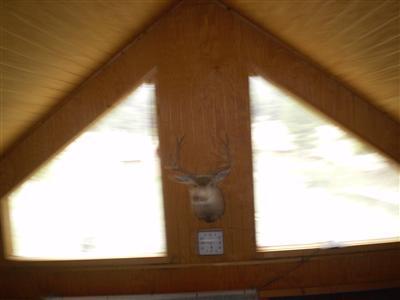 0 Antelope Road Flagstaff, AZ 86005 - Photo 10 of 13 Additional Photo