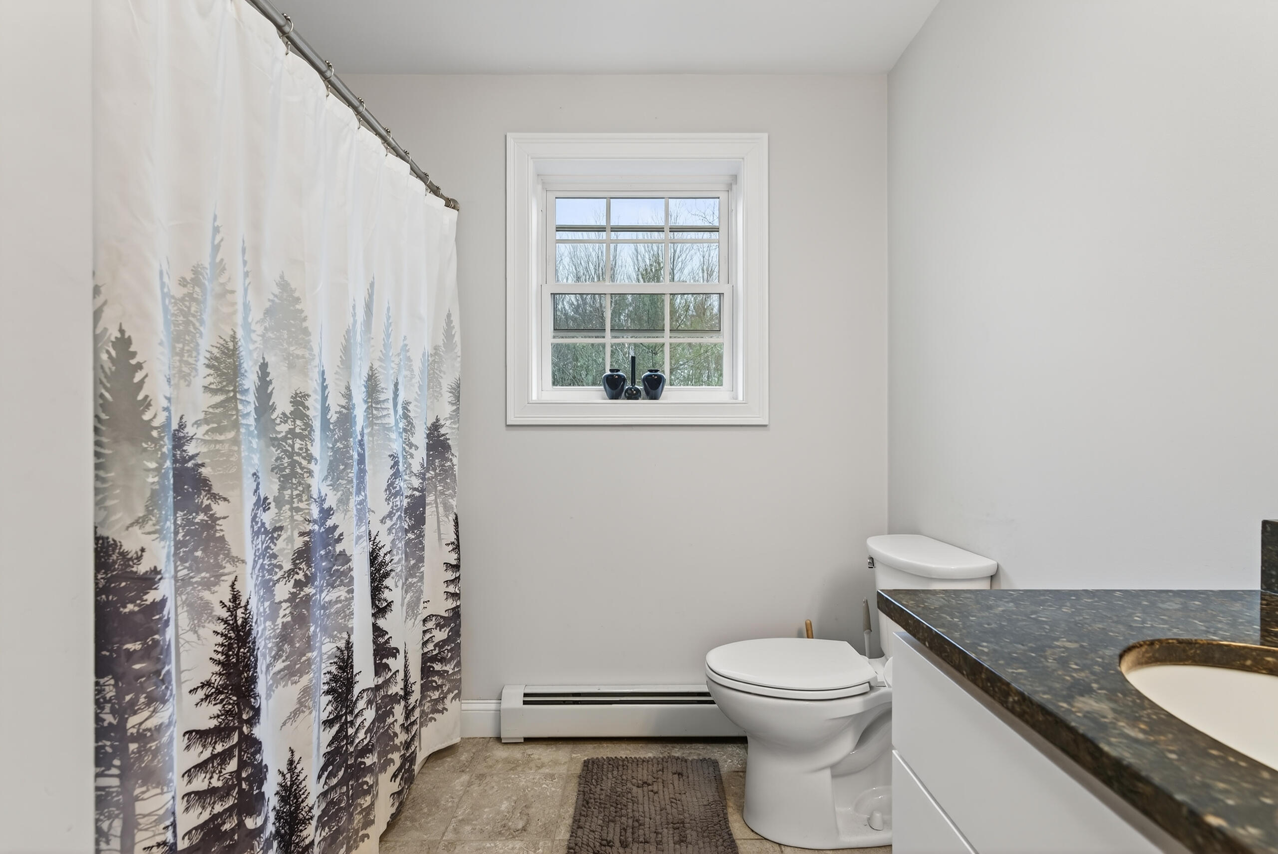 130 McKenney Road Saco, ME 04072 - Photo 31 of 55 DSC09059