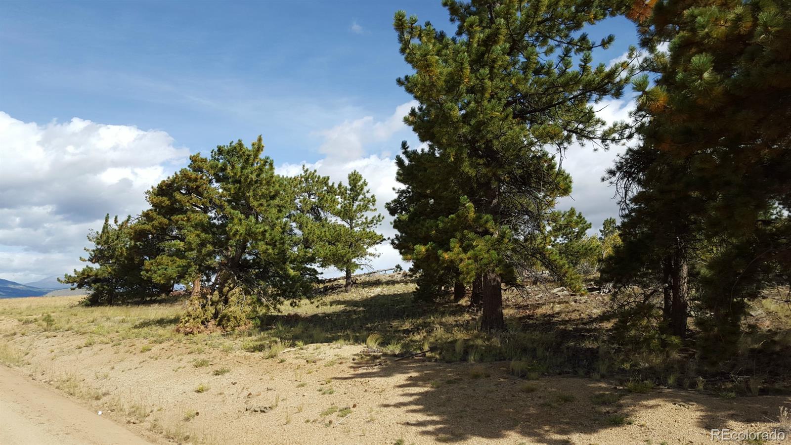 1002 Wagon Wheel Road Hartsel, CO 80449 - Photo 1 of 33 Gallery Image 1