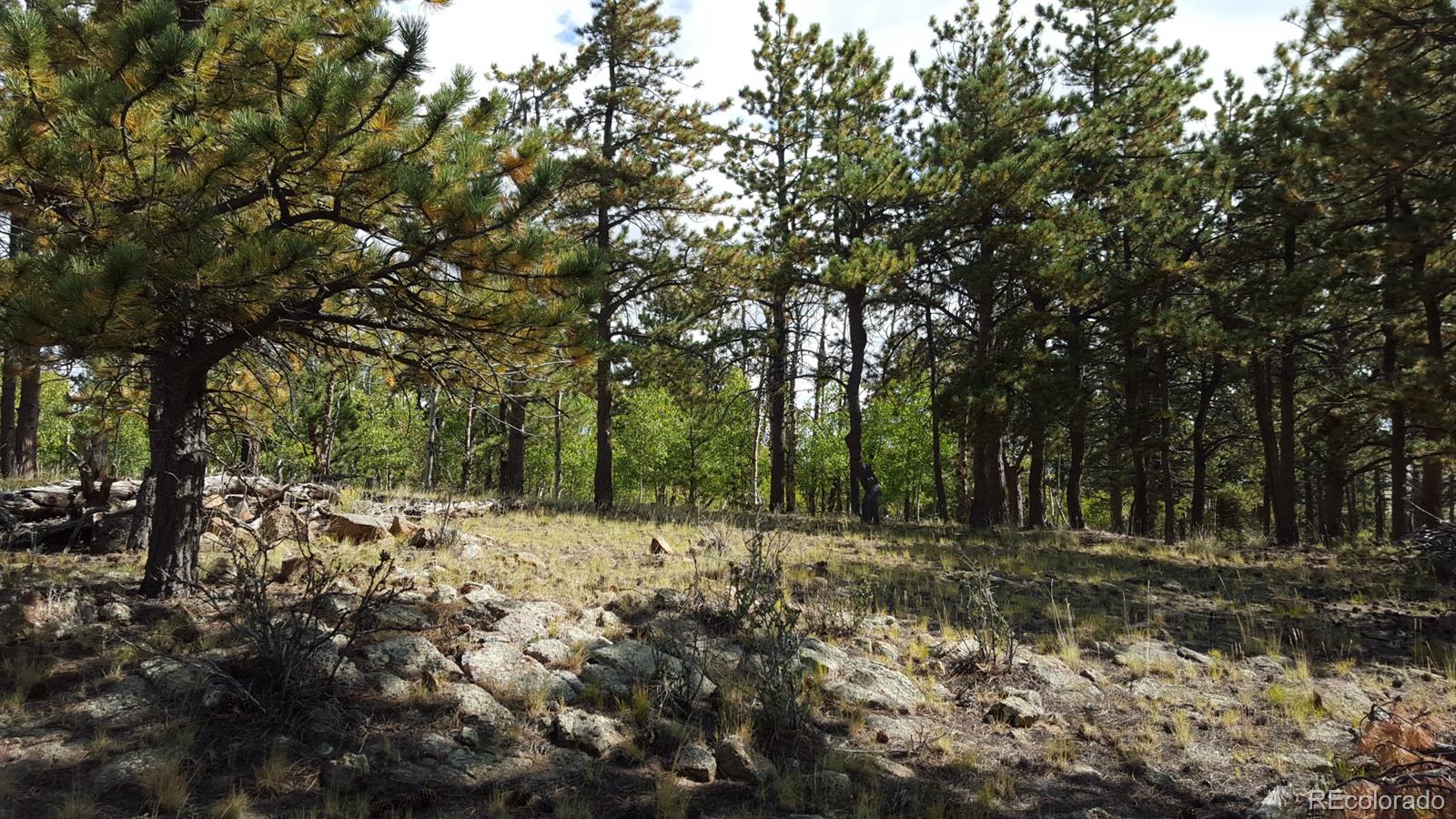 1002 Wagon Wheel Road Hartsel, CO 80449 - Photo 15 of 33 Gallery Image 15