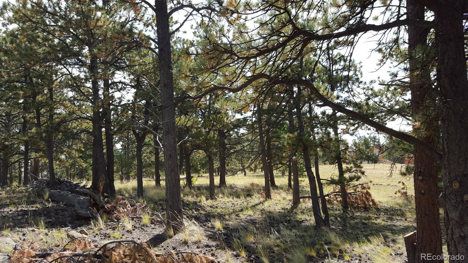 1002 Wagon Wheel Road Hartsel, CO 80449 - Photo 16 of 33 Gallery Image 16