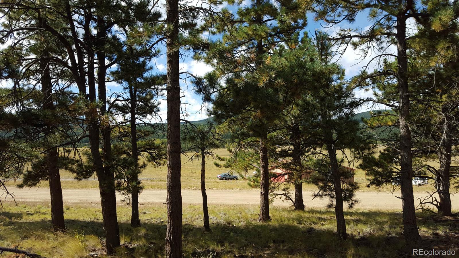 1002 Wagon Wheel Road Hartsel, CO 80449 - Photo 17 of 33 Gallery Image 17