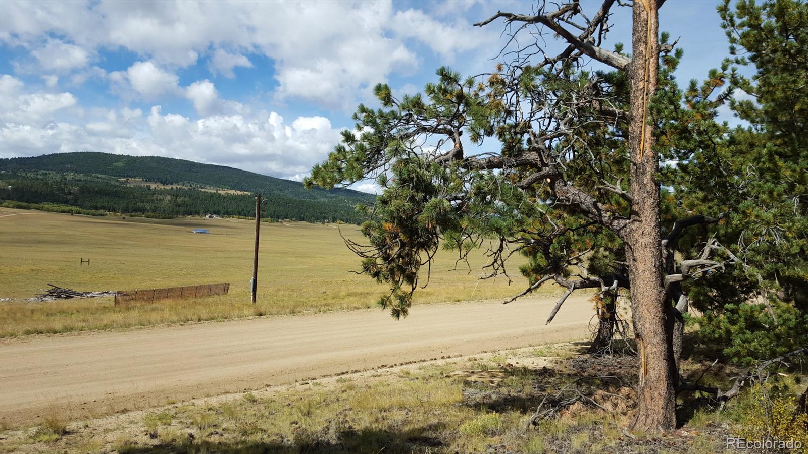 1002 Wagon Wheel Road Hartsel, CO 80449 - Photo 20 of 33 Gallery Image 20