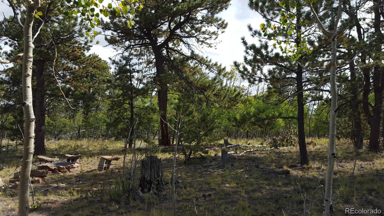1002 Wagon Wheel Road Hartsel, CO 80449 - Photo 2 of 33 Gallery Image 2