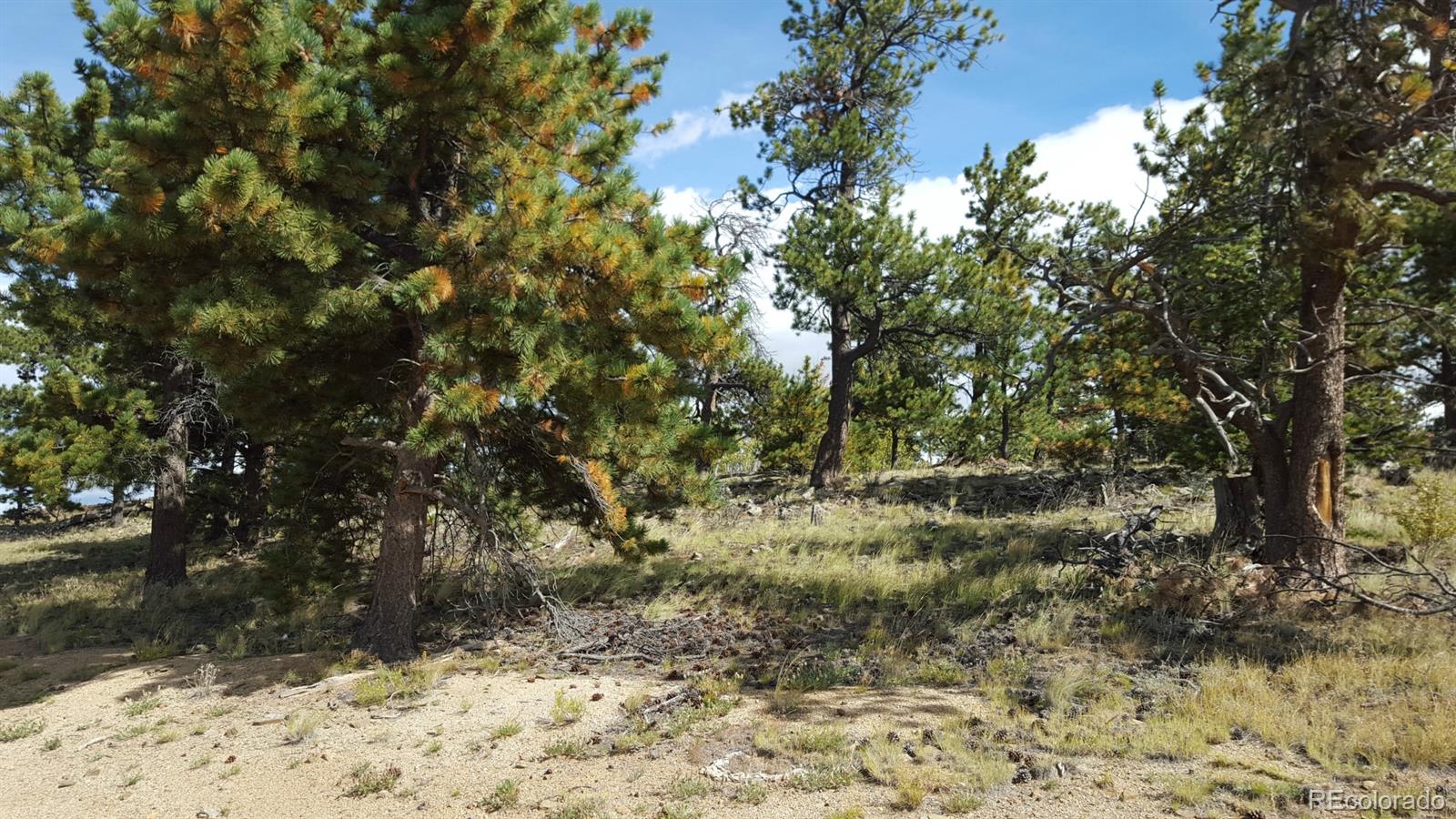 1002 Wagon Wheel Road Hartsel, CO 80449 - Photo 22 of 33 Gallery Image 22