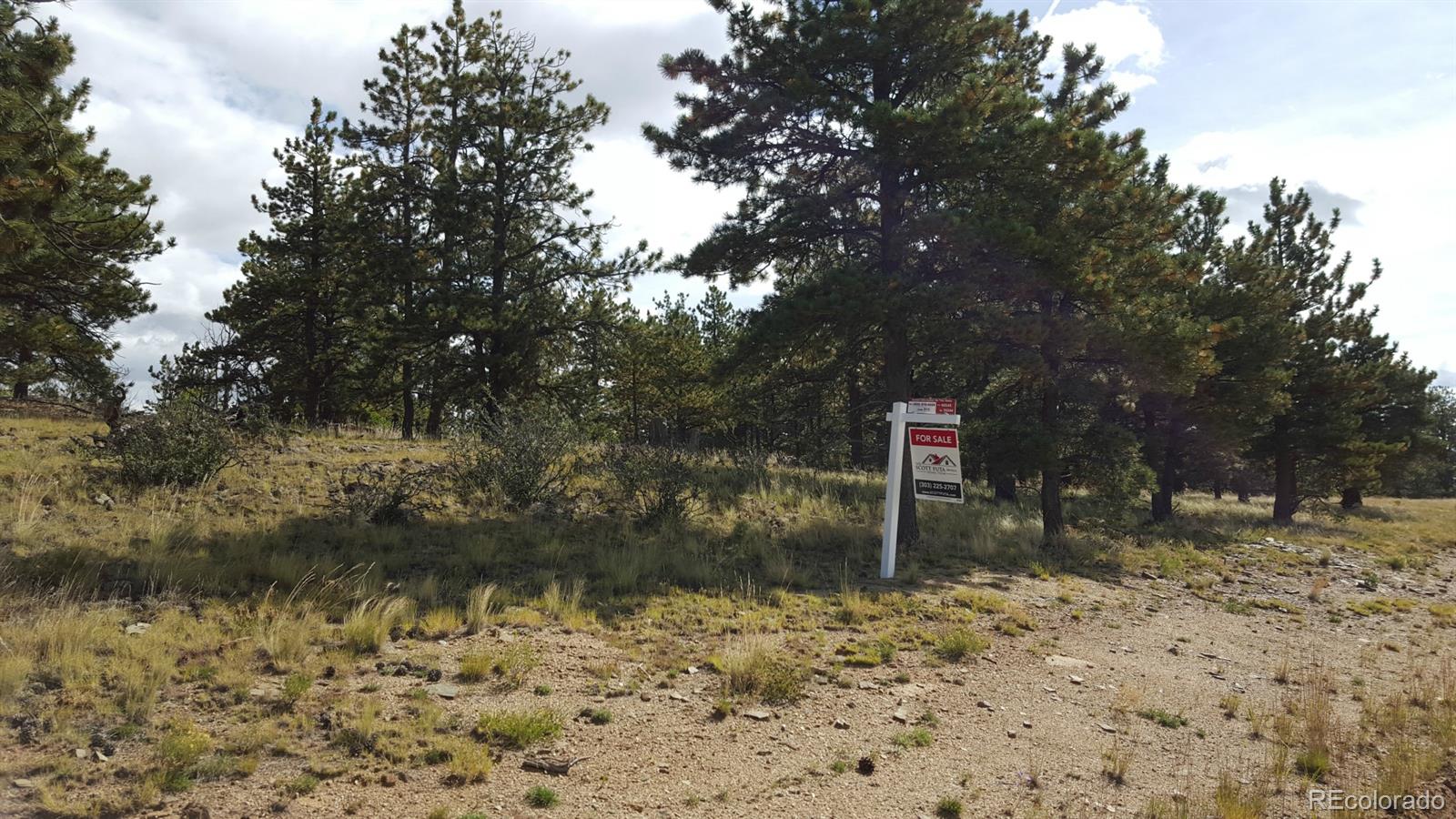 1002 Wagon Wheel Road Hartsel, CO 80449 - Photo 23 of 33 Gallery Image 23