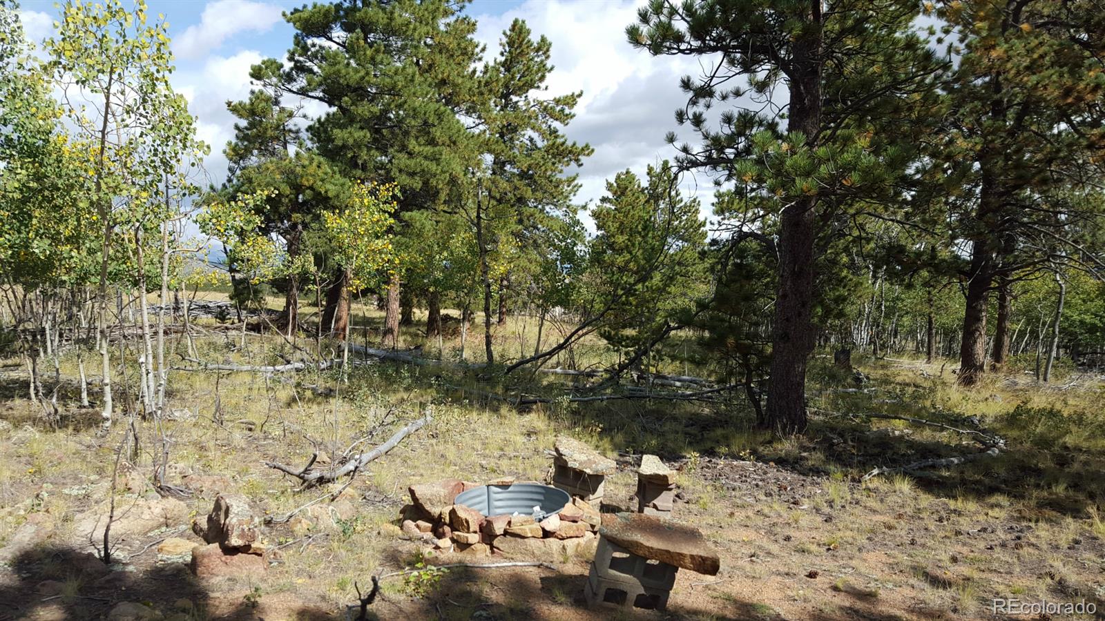 1002 Wagon Wheel Road Hartsel, CO 80449 - Photo 3 of 33 Gallery Image 3