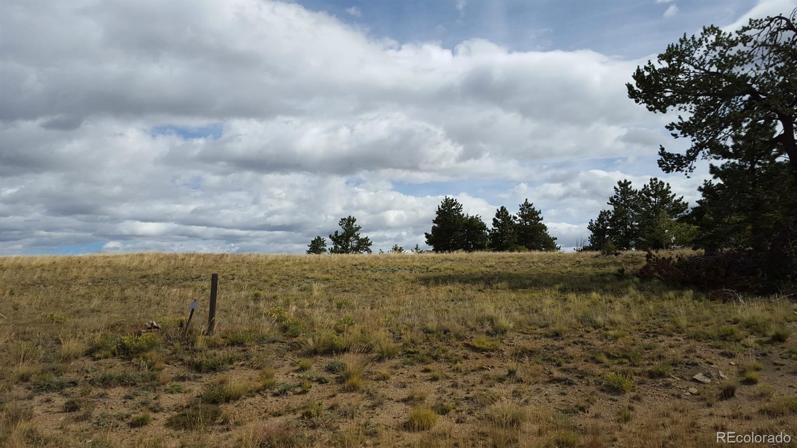 1002 Wagon Wheel Road Hartsel, CO 80449 - Photo 4 of 33 Gallery Image 4