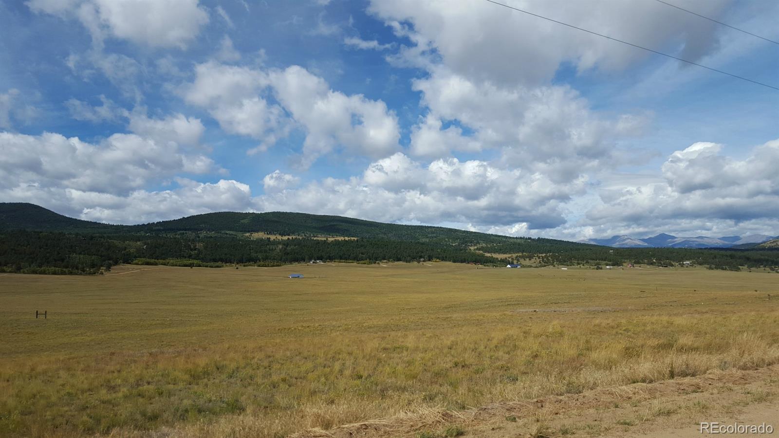 1002 Wagon Wheel Road Hartsel, CO 80449 - Photo 5 of 33 Gallery Image 5