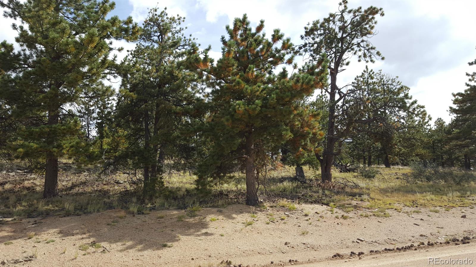 1002 Wagon Wheel Road Hartsel, CO 80449 - Photo 7 of 33 Gallery Image 7
