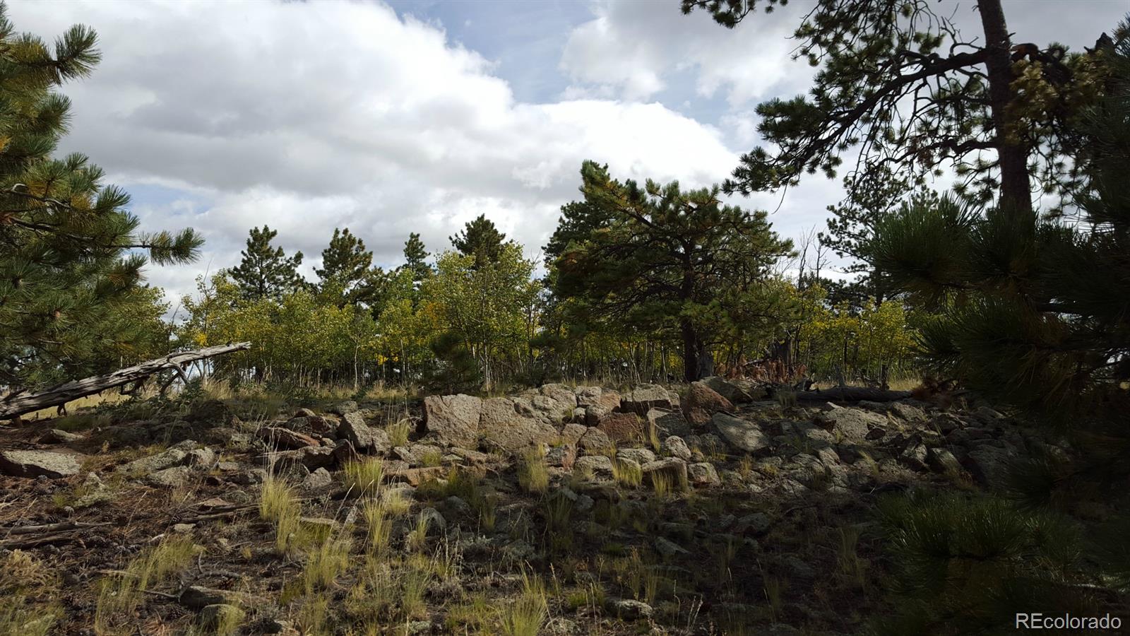 1002 Wagon Wheel Road Hartsel, CO 80449 - Photo 8 of 33 Gallery Image 8