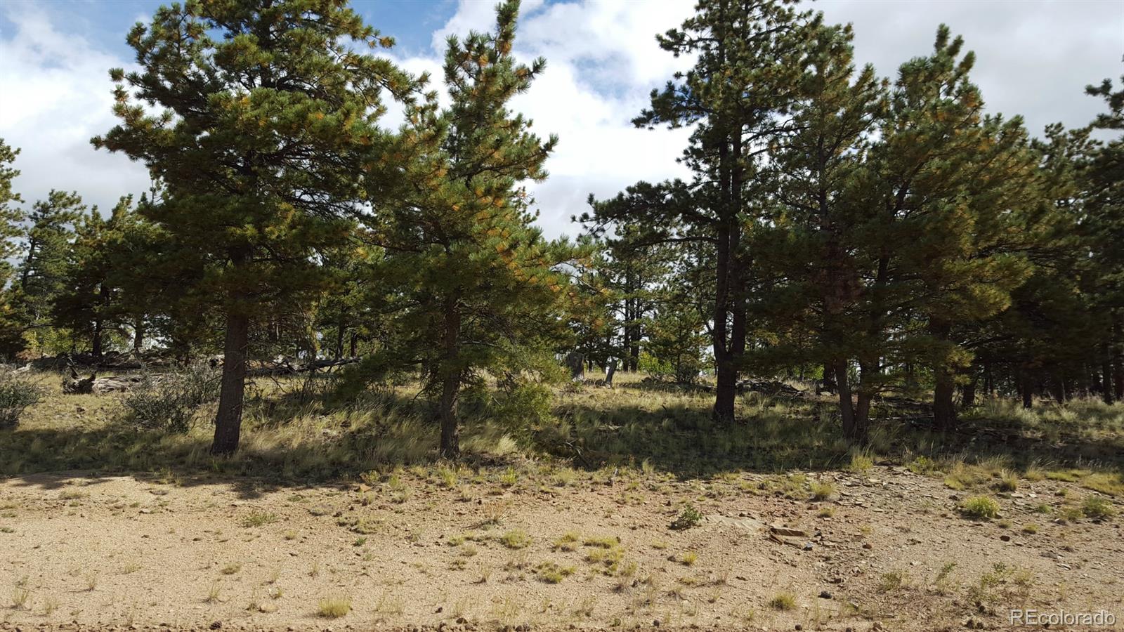 1002 Wagon Wheel Road Hartsel, CO 80449 - Photo 9 of 33 Gallery Image 9