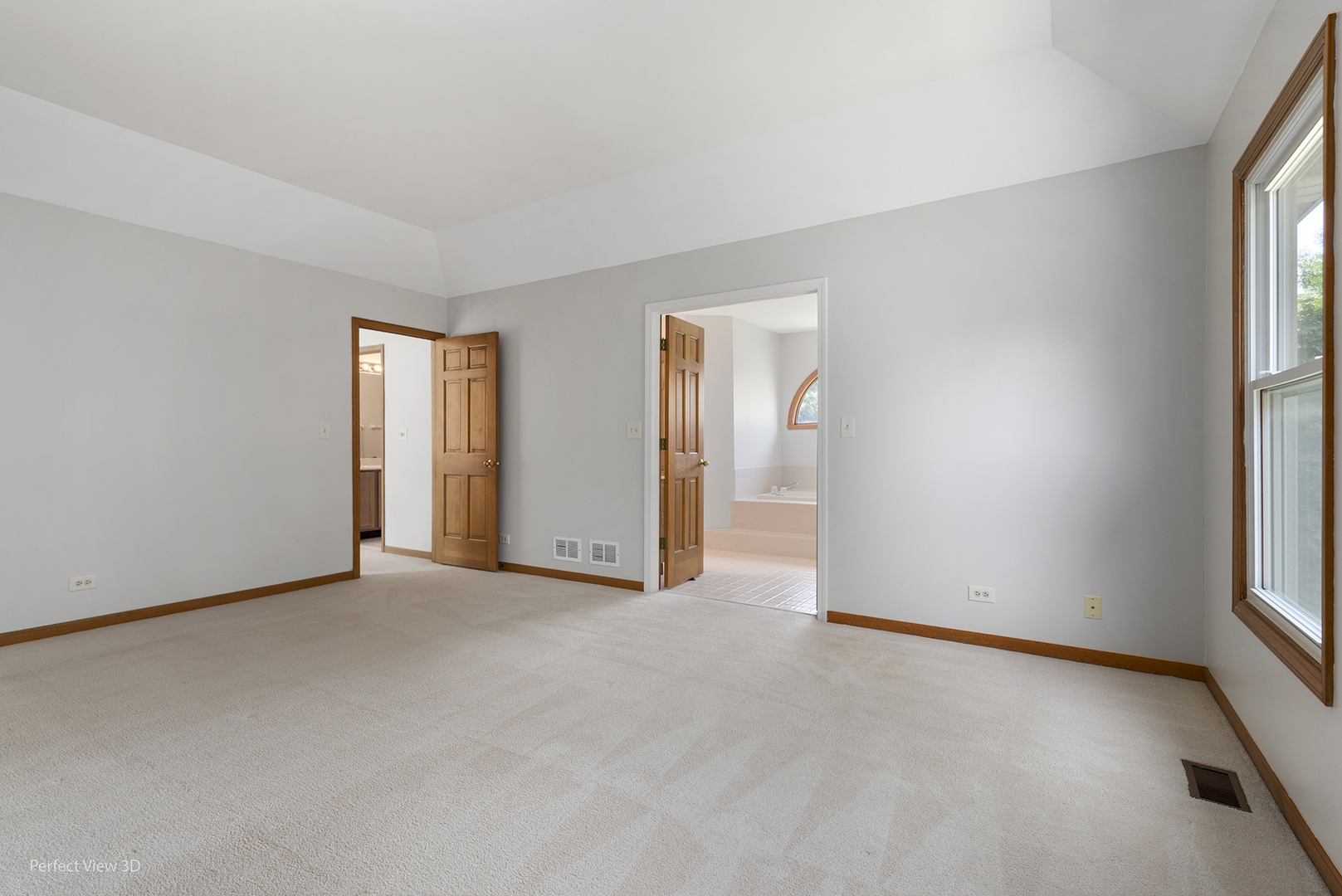 970 Amberwood Circle Naperville, IL 60563 - Photo 13 of 26 an empty room with windows and closet