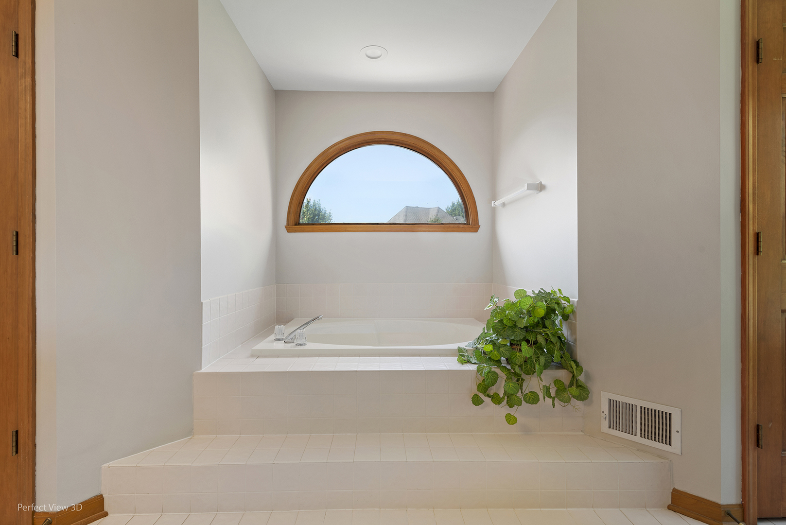 970 Amberwood Circle Naperville, IL 60563 - Photo 16 of 26 a bathroom with a bathtub and a potted plant