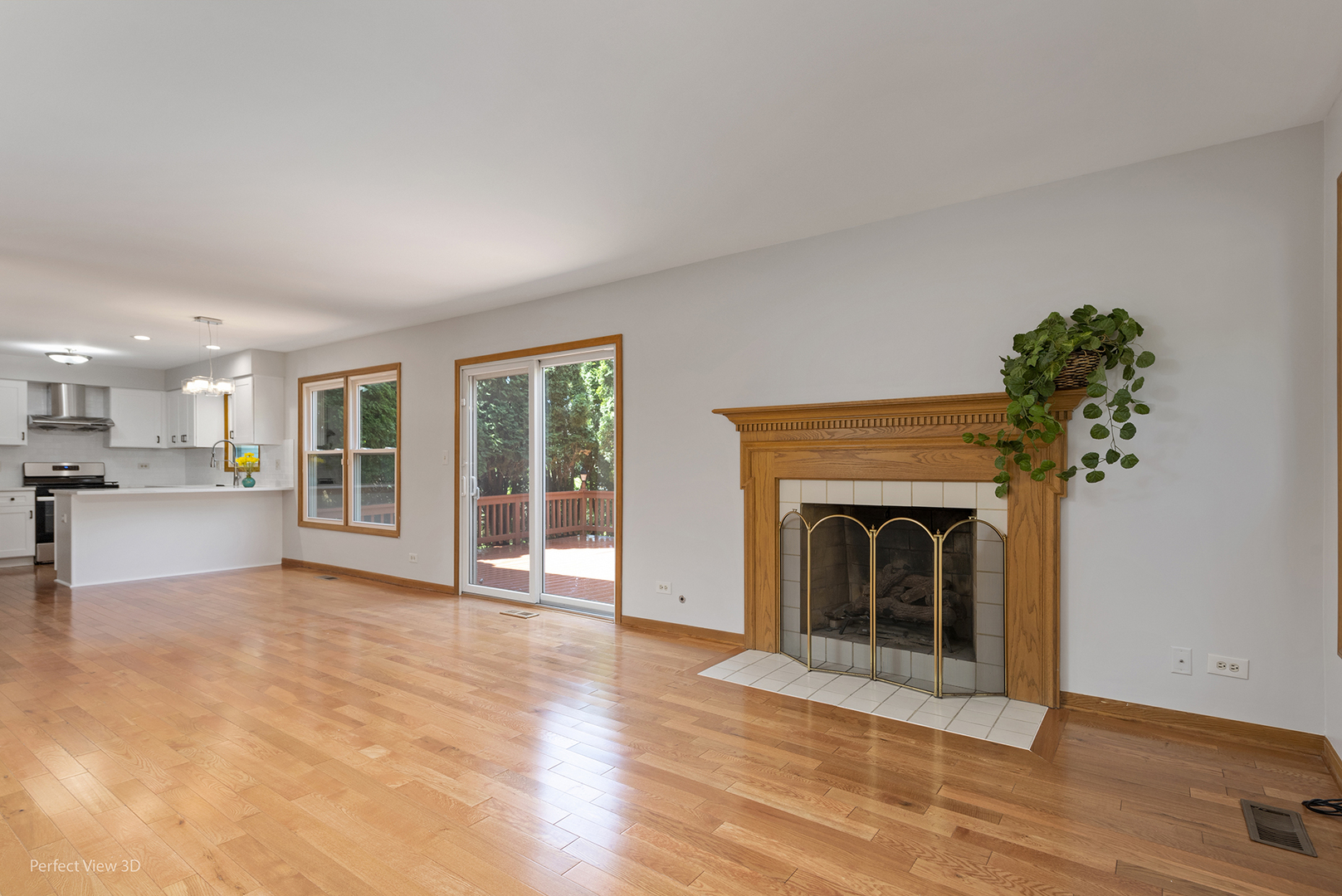 970 Amberwood Circle Naperville, IL 60563 - Photo 7 of 26 a view of an empty room with wooden floor and a fireplace