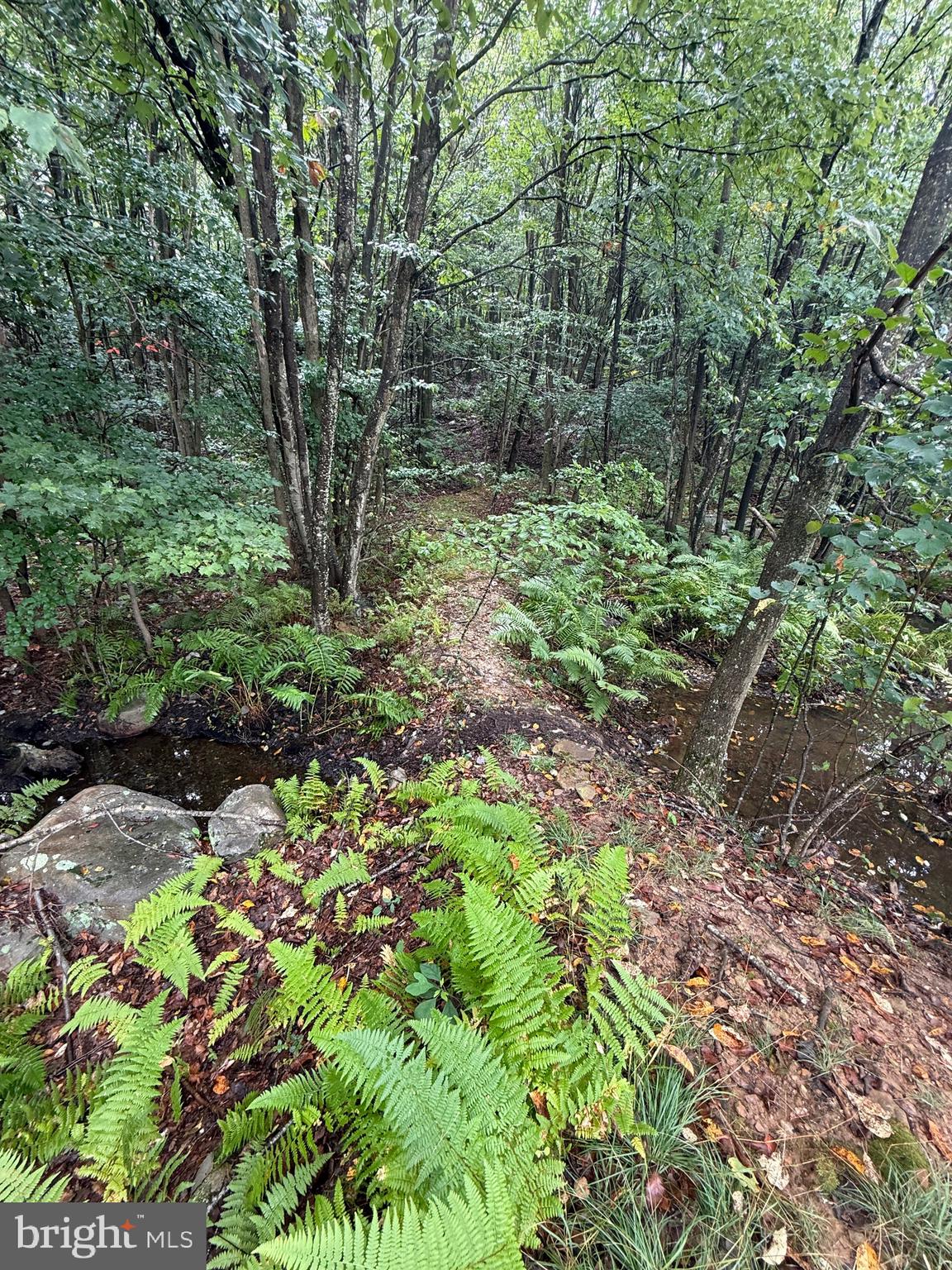 0 Pinnacle Road Keyser, WV 26726 - Photo 34 of 61