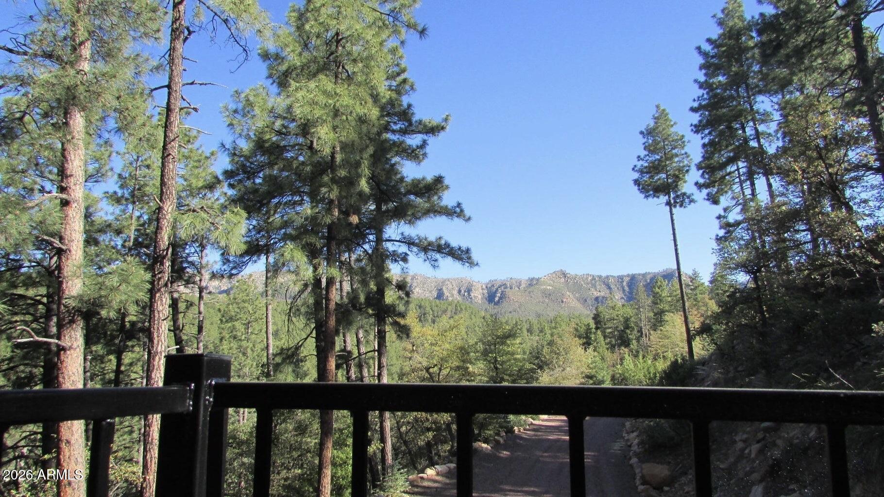 415 East Rim Estates Trail Payson, AZ 85541 - Photo 3 of 76 a view of a forest from a balcony