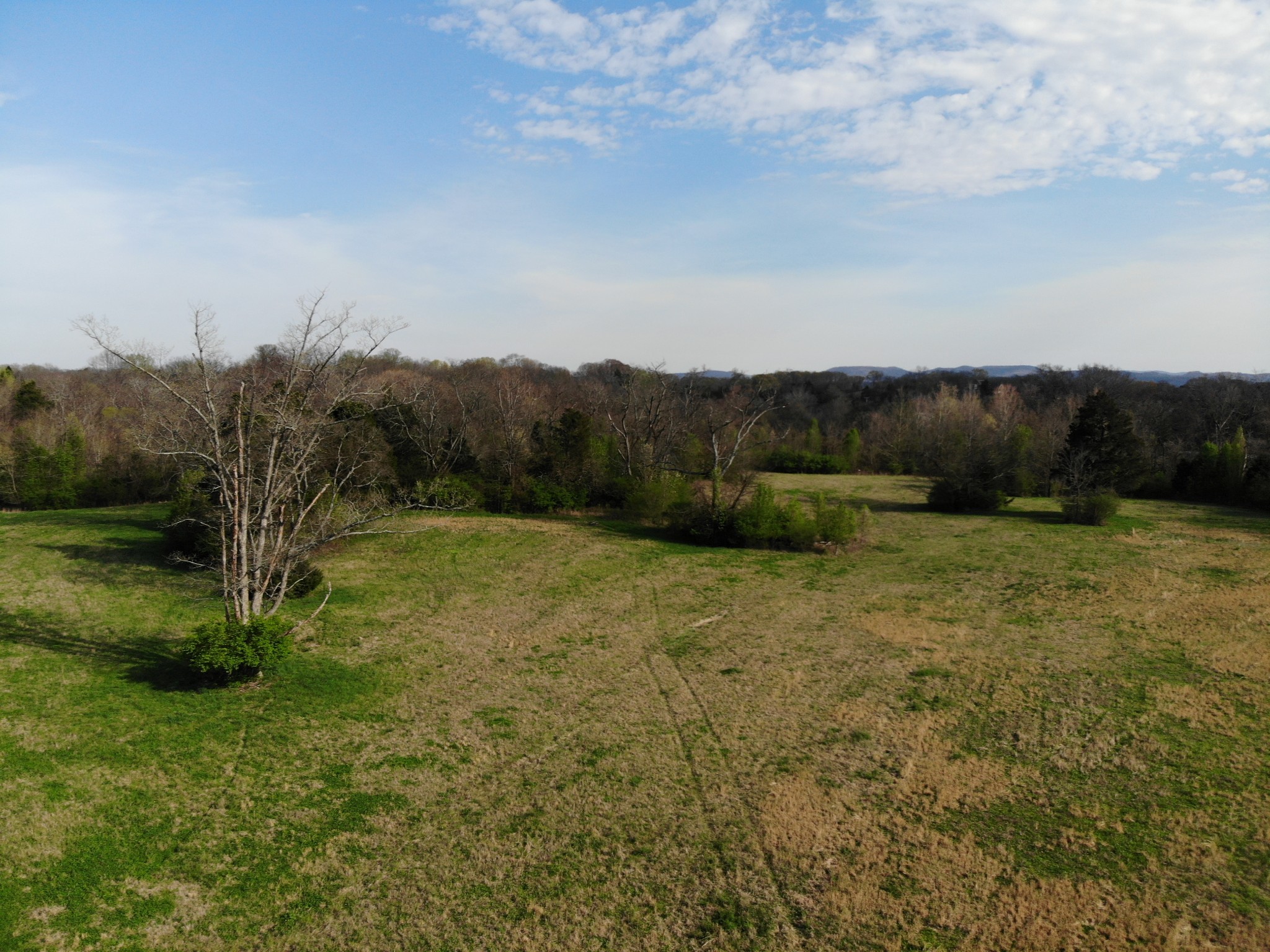 4231 Murfreesboro Road Franklin, TN 37067 - Photo 13 of 23 Gallery Image 13