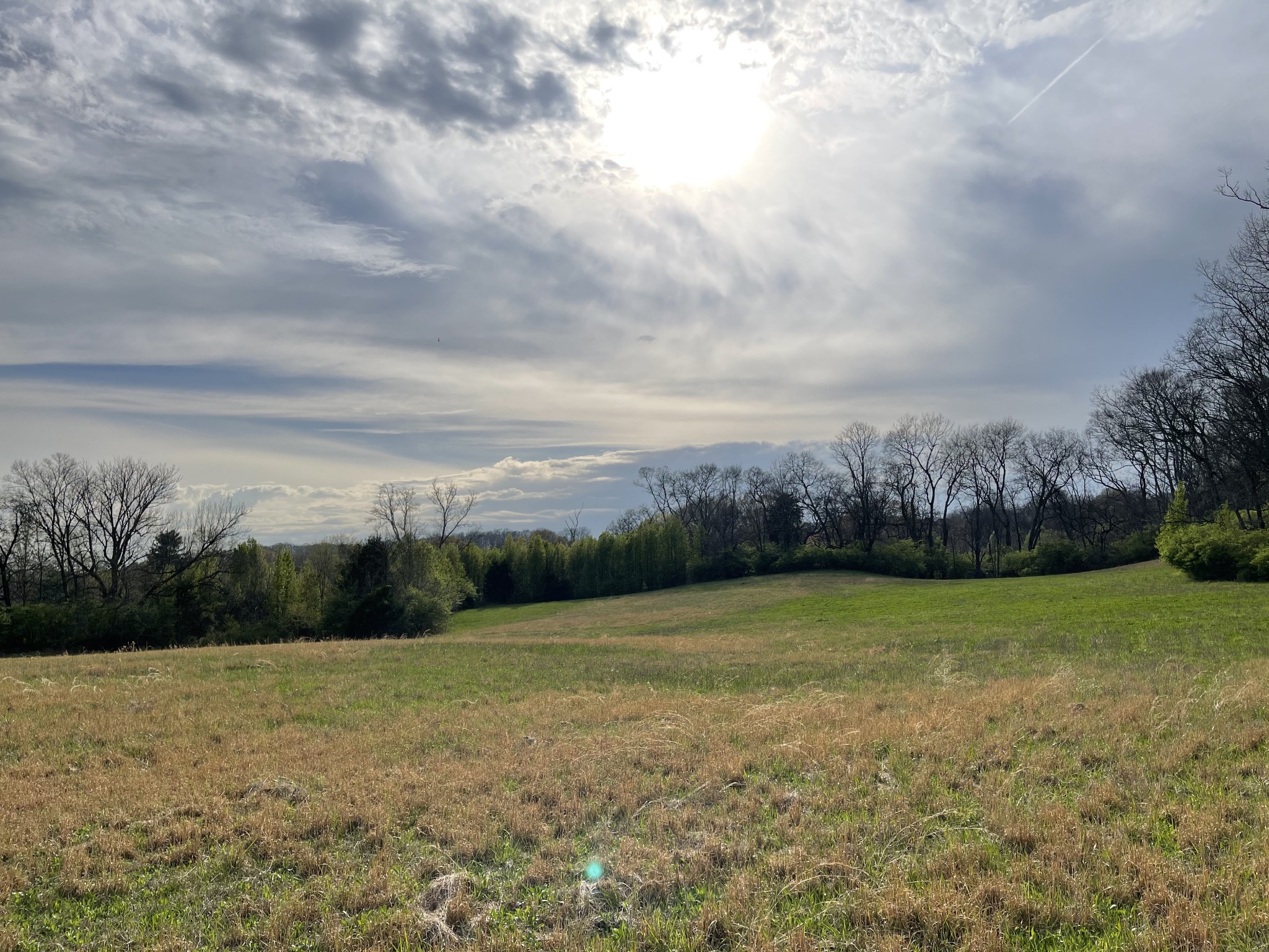 4231 Murfreesboro Road Franklin, TN 37067 - Photo 19 of 23 Gallery Image 19