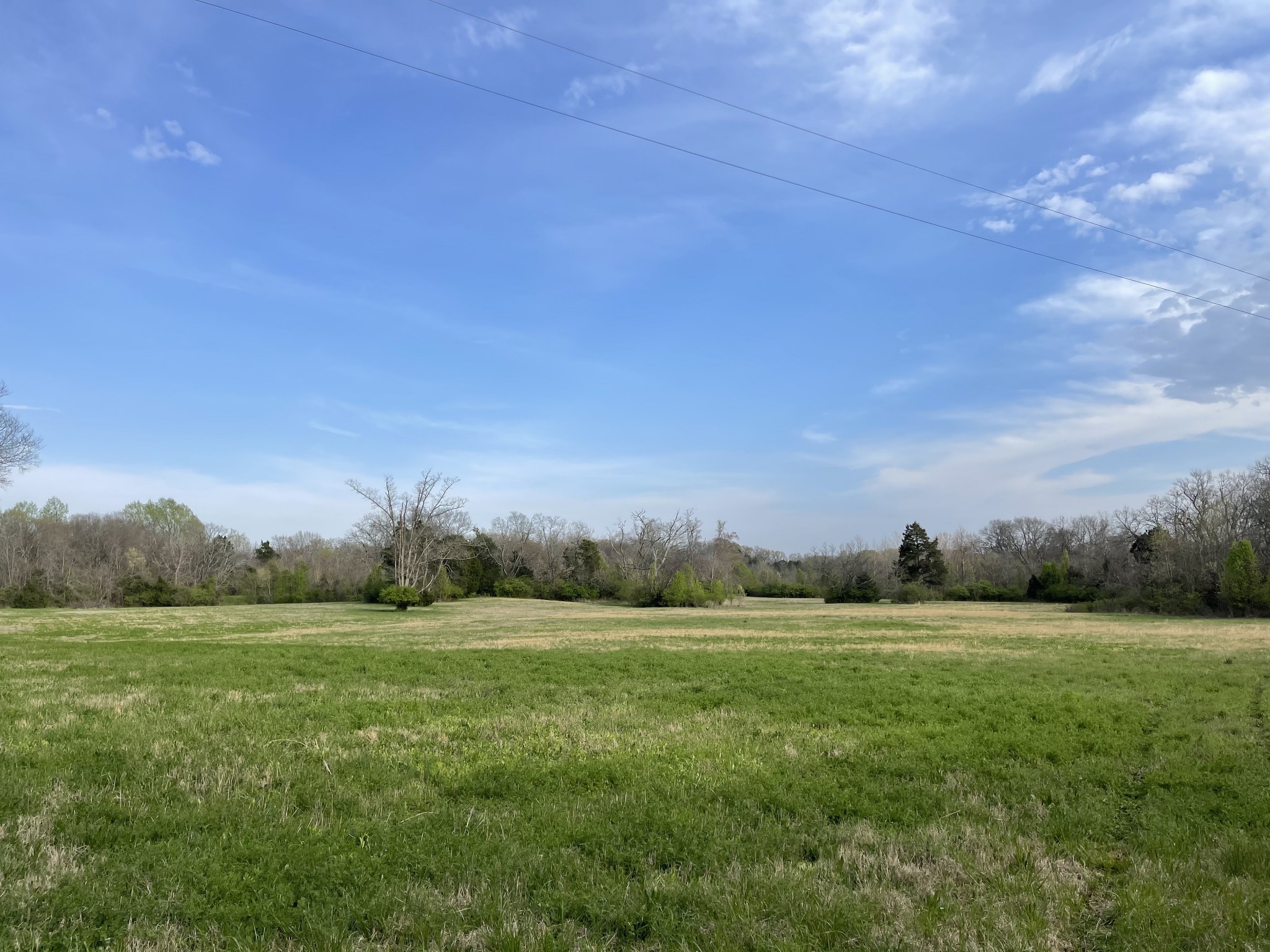 4231 Murfreesboro Road Franklin, TN 37067 - Photo 20 of 23 Gallery Image 20