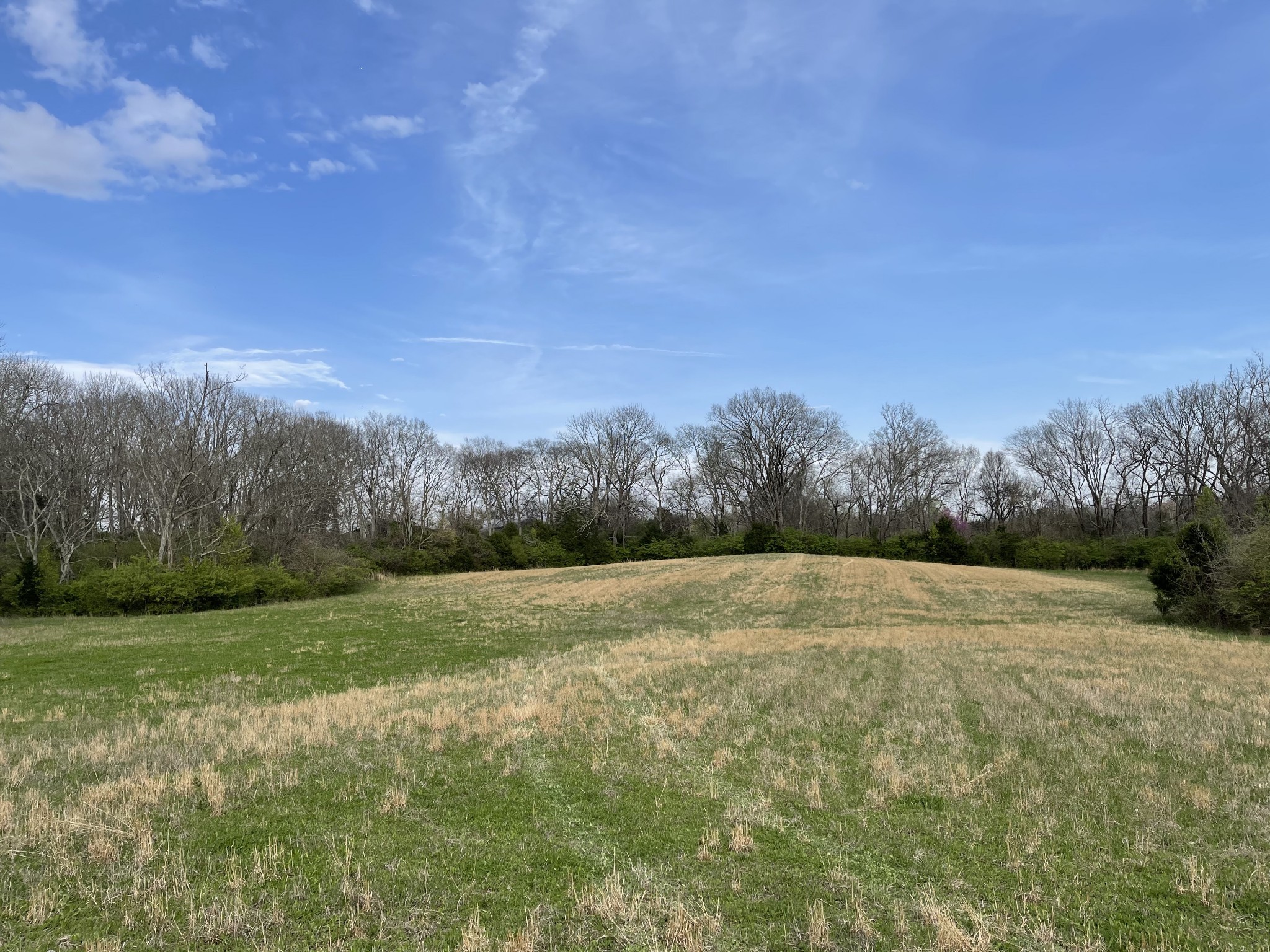 4231 Murfreesboro Road Franklin, TN 37067 - Photo 21 of 23 Gallery Image 21