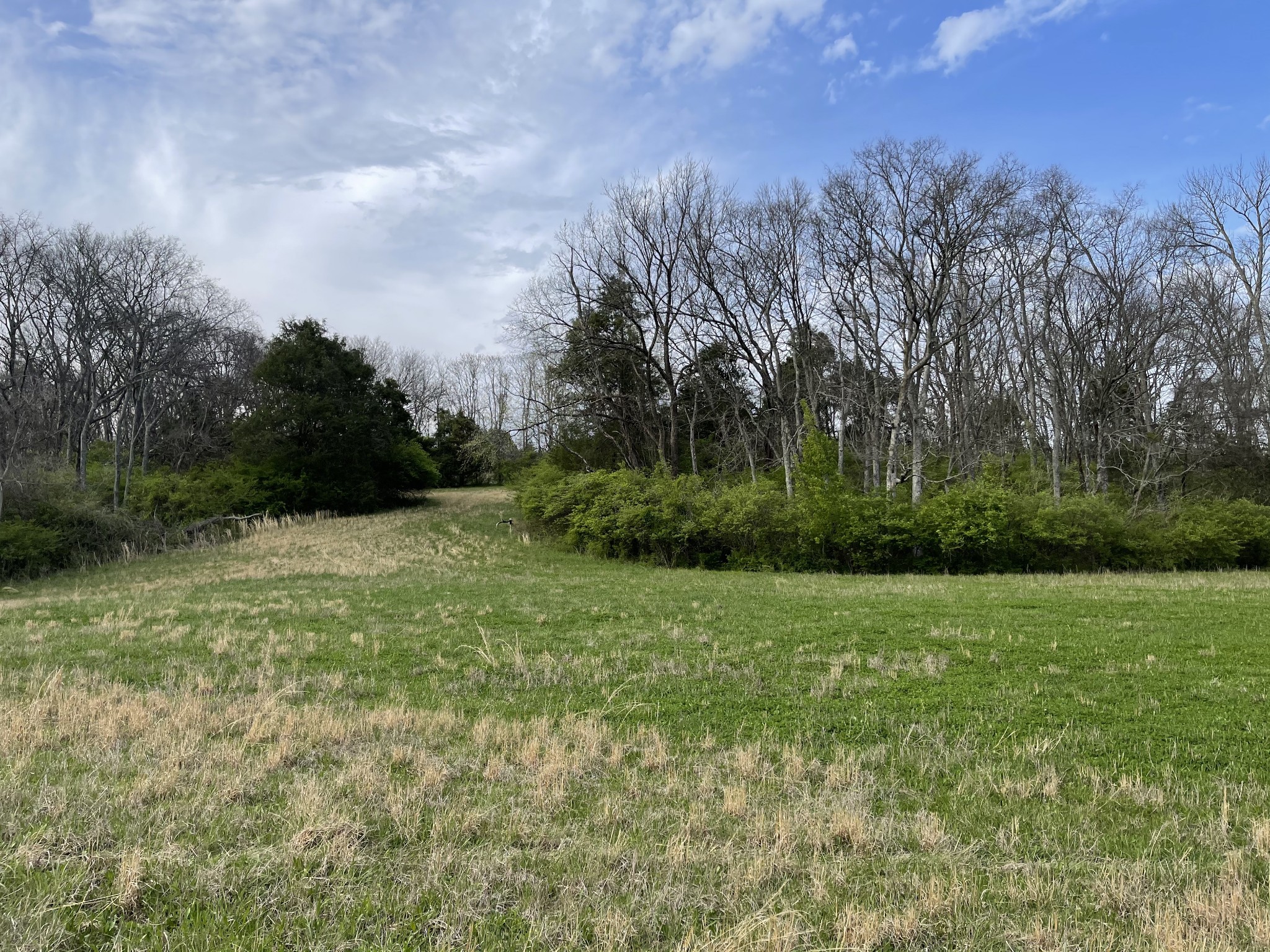 4231 Murfreesboro Road Franklin, TN 37067 - Photo 22 of 23 Gallery Image 22