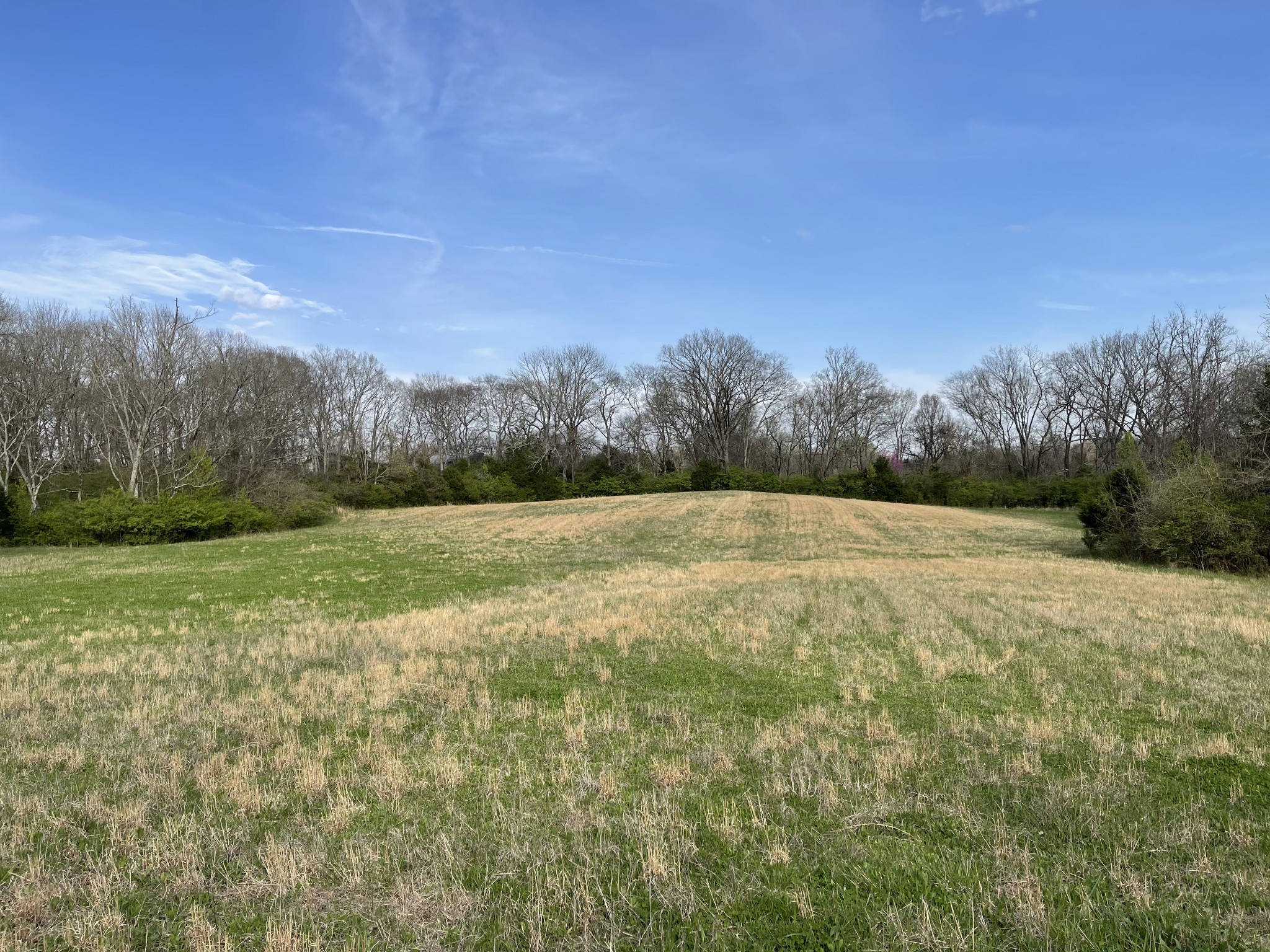 4231 Murfreesboro Road Franklin, TN 37067 - Photo 8 of 23 Gallery Image 8