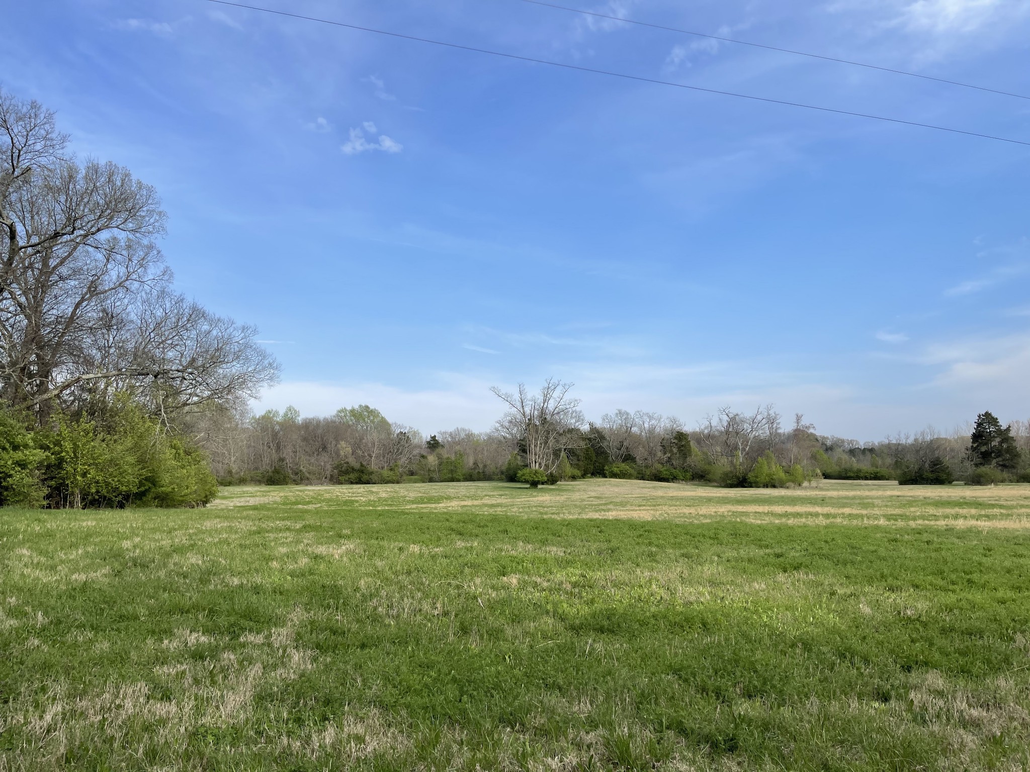 4231 Murfreesboro Road Franklin, TN 37067 - Photo 9 of 23 Gallery Image 9