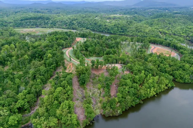 a view of a lush green forest with lots of trees