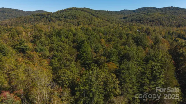a view of a mountain range with trees in the background