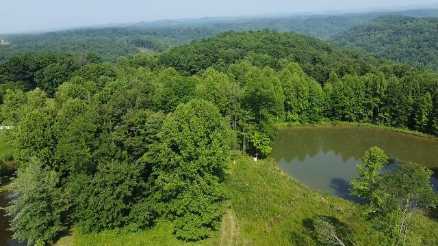 1216 Spring Road Wallingford, KY 41093 - Photo 19 of 20 2025-06-03-16-57-21-095